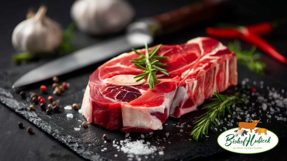 Bio Schulter dick vom Highland Beef