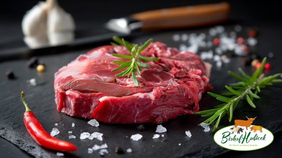 Bio Tristl vom Highland Beef